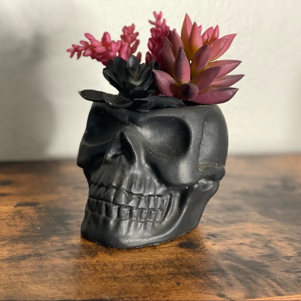 Skull table top decor. Faux plant. Lightly used.